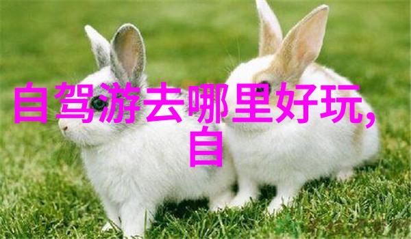 小棒堵住前面不让流出来贴吧 - 阻塞之力守护贴吧的宁静