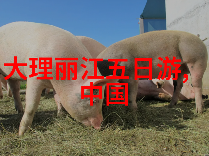 西湖畔漫步灵隐寺里的禅意杭州自由行指南