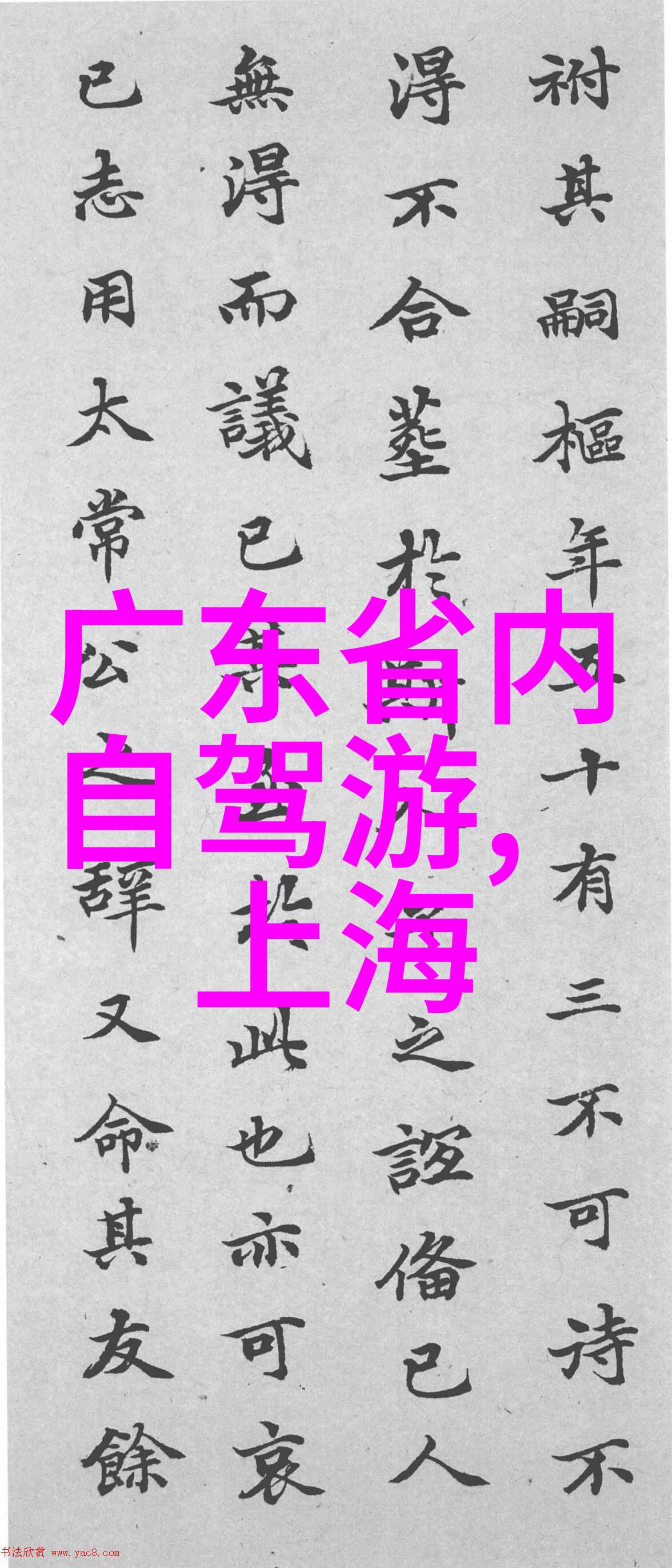 新时代出行探索智能骑行软件的未来