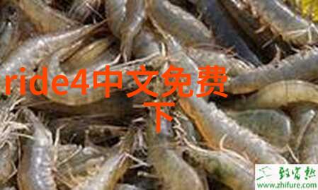 上海旅游美食攻略 - 品味沪上味道从小吃到高档餐饮的探秘之旅