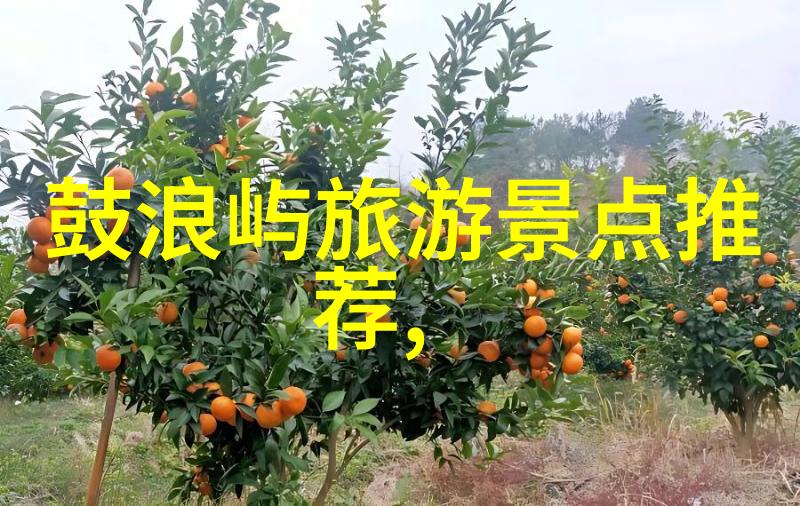 主题我来教你20个有趣的户外小游戏玩法
