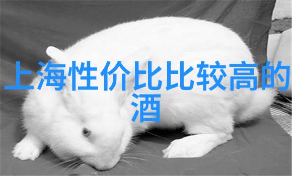 从沙箱到树林让孩子在自然中成长幼儿园户外活动指南