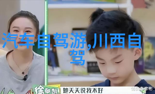 旅游咨询公司帮我规划一次不一样的假期吧