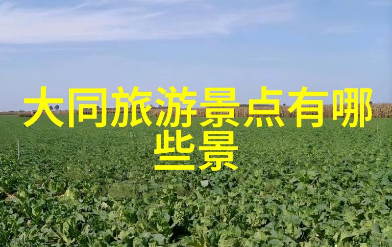 一家三口亲子游戏100例我的趣味生活指南