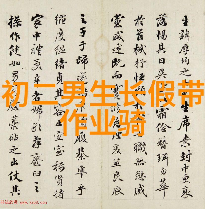青岛四日三夜自驾游指南海岸线美食与悠闲时光的完美结合