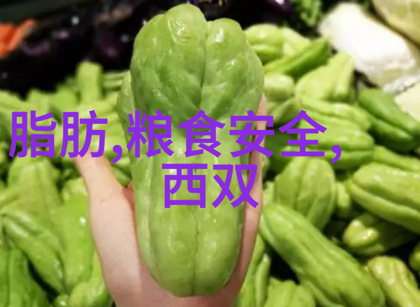 北方美食盛宴剖析辣子鸡烤鸭与饺子的文化魅力