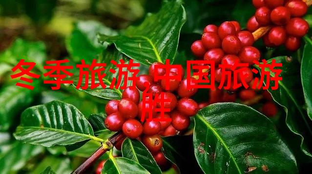 广州美食篇十大必尝佳肴
