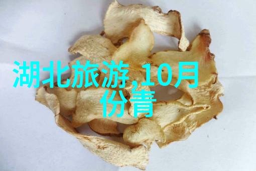 路边野餐百度云分享点滴美好时刻的线上相册