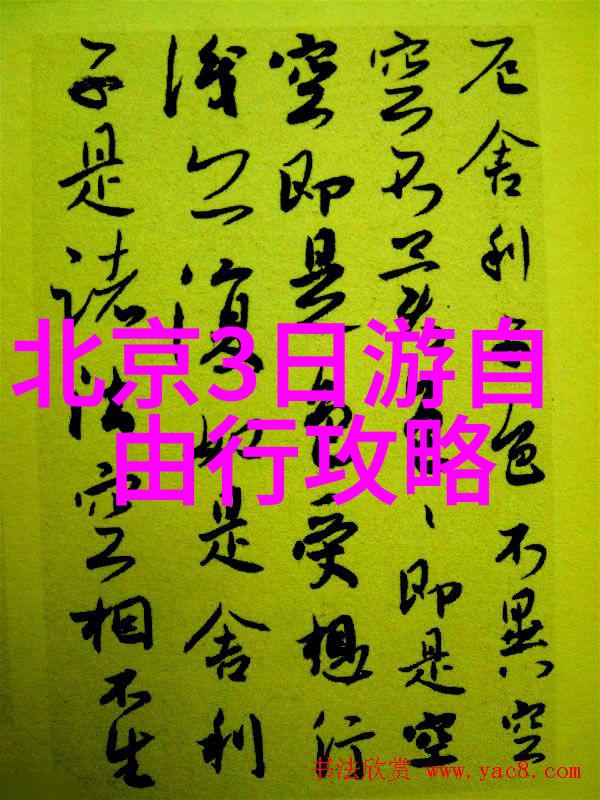 深夜森林的秘密挑战