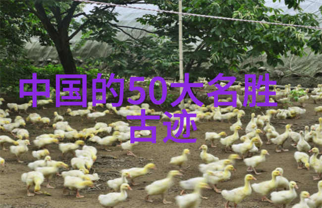 呼玛桃源峰景区