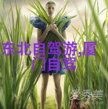 月轮下的钢铁骑士30分钟的坚持与心灵的飞翔