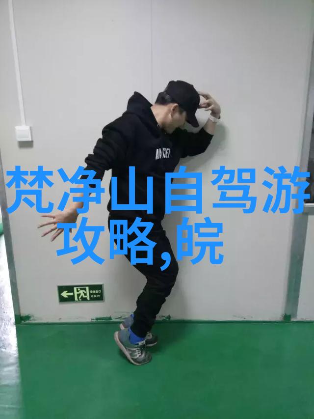 海南岛的神秘魅力探索琼崖的美丽风光