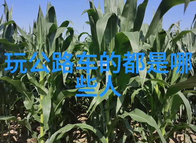 华山半导体产业园区住宿指南华山旅游住宿攻略