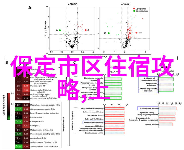 夏日西湖游记西湖的美丽与传说