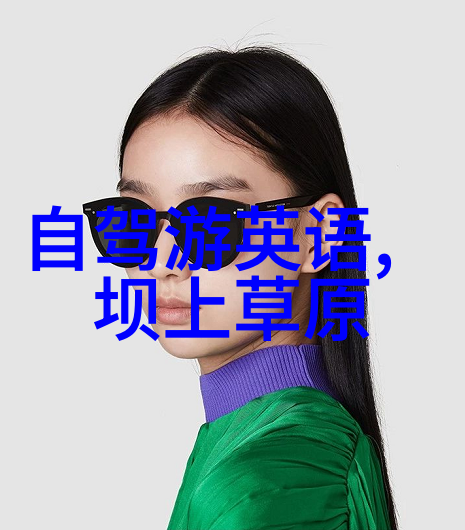 在撰写上海晚上好玩的地方时我们不禁会思考西安游记中的夜景是否也能与之媲美探索这个问题的答案就像一场未