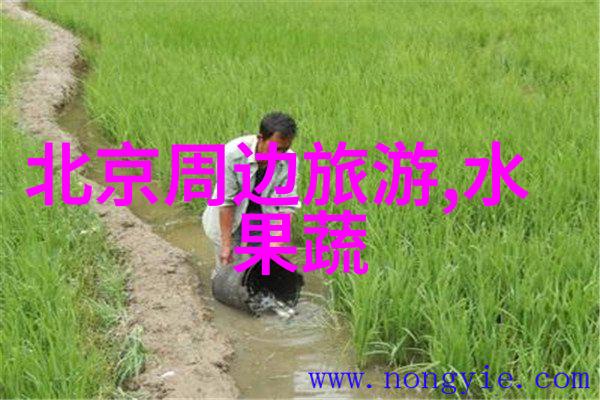 冬日云贵风光云南省在冬天有什么特别的地方值得一看
