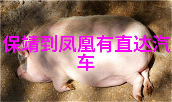人与畜禽交佩APP智能互动动物养护系统