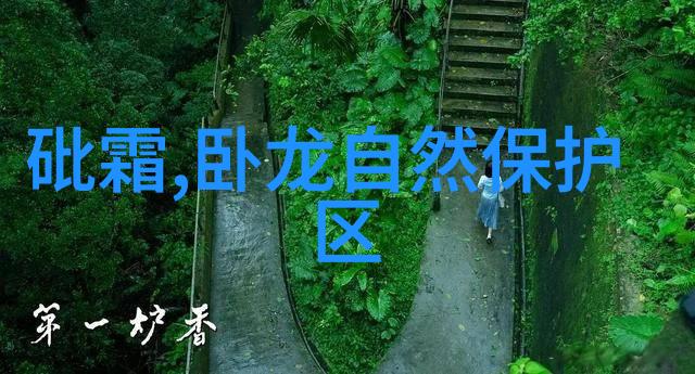 公司团建活动通知我们一起笑声连连的拓展营之旅