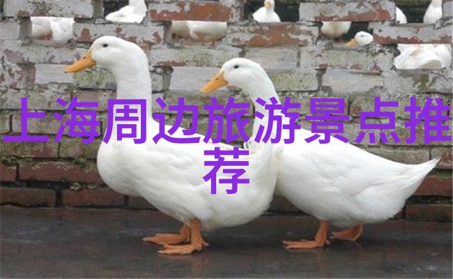 三亚六天自由行旅游攻略探索自然奇迹的绝佳方式