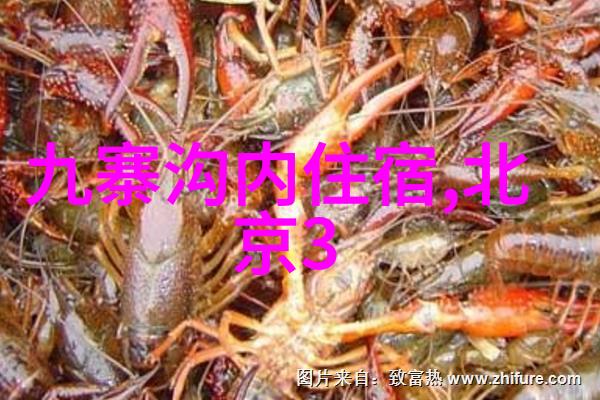 探索合肥奇迹揭秘这座城市的隐藏宝藏景点