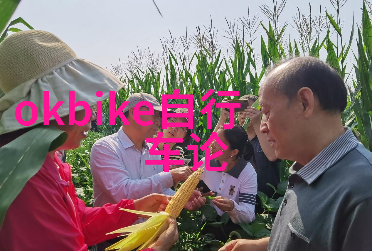云南探秘一周的自由行奇遇与金钱花销