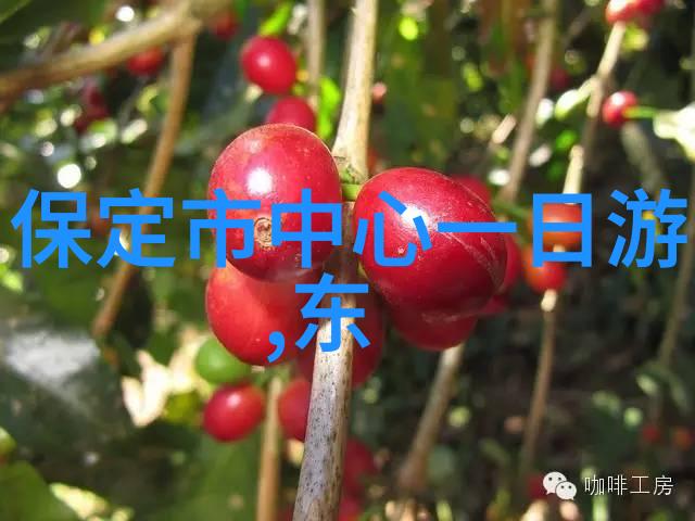 骑行新手必备物资开启自行车之旅的秘诀