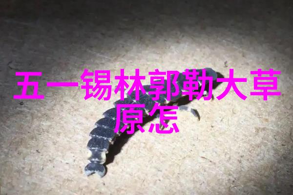 凤悦酒店及度假村携子品牌耀目上海国际酒店展探寻保定市最佳住宿体验