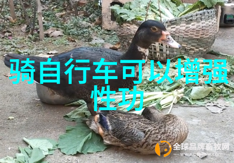 云南滇池碧波荡漾的天然奇迹与丰富文化