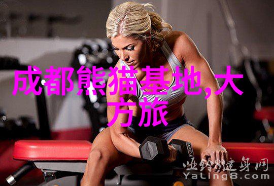 自由之翼城市骑行的新篇章