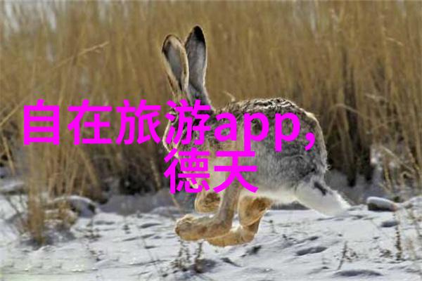 上海四人房间住宿都市密集的温馨避风港