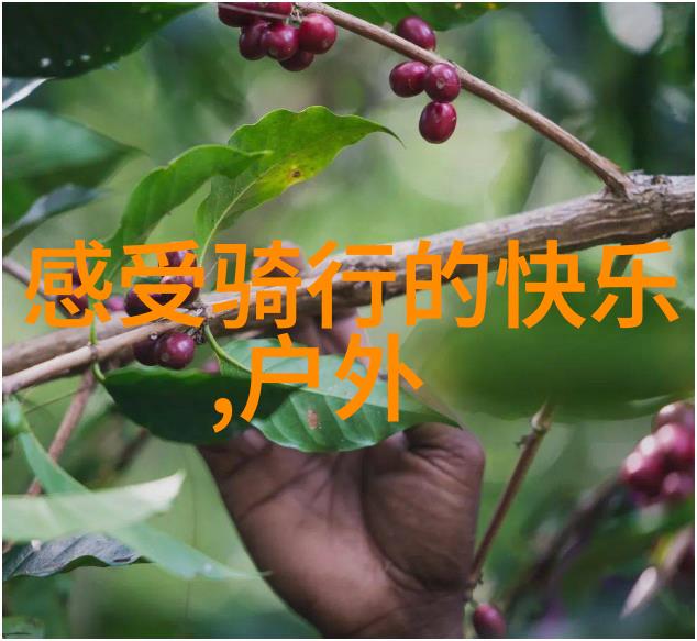 桂林阳朔-碧波荡漾探秘漓江两岸的古韵与现代魅力