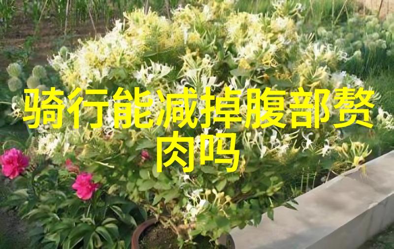 远方的足迹探索自驾游俱乐部的奇妙旅程