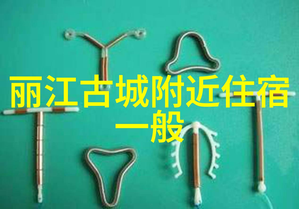 未知路途中的守护者揭秘自驾游最佳保险选择