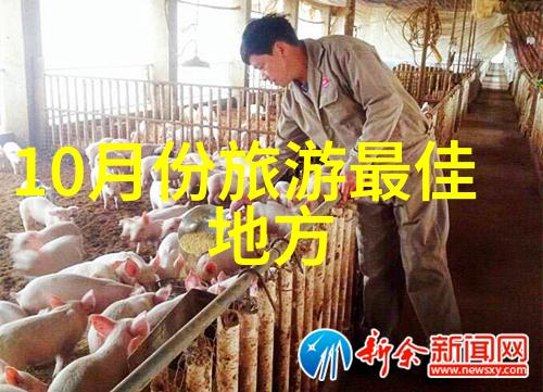 云南10日游跟团报价云南旅游跟团游十天行程云南景点