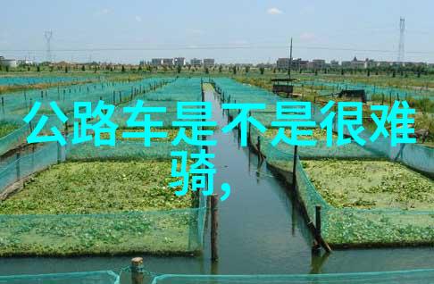 挑战极限体验生活暑假穷游热门目的地