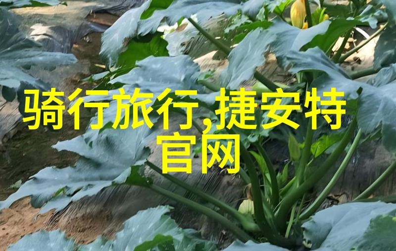 山西文化探索太原市内最佳游览地选TOP10