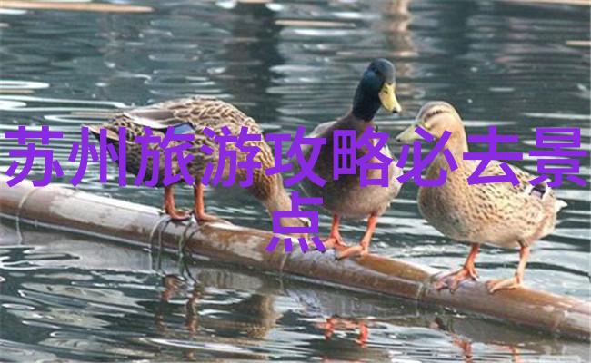 春暖花开的旅行探索适合二月份游玩的热门目的地
