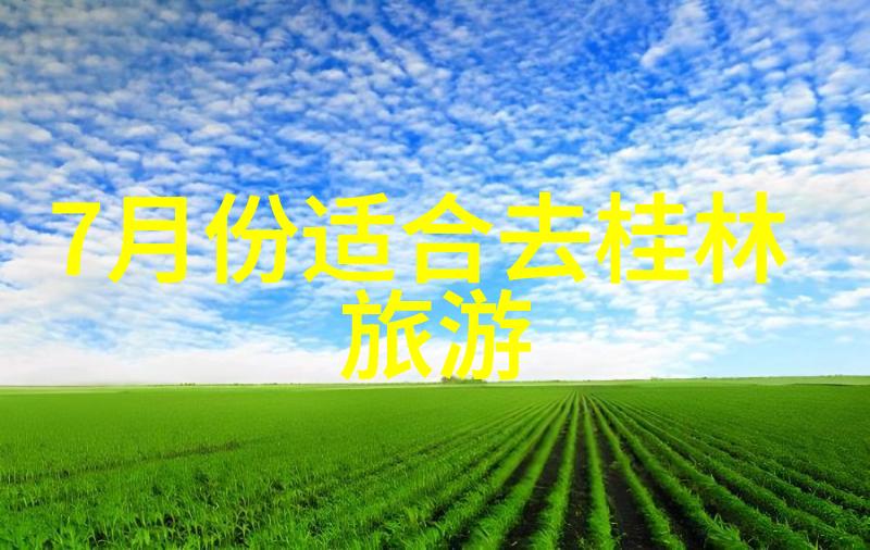 中班幼儿园户外活动百宝箱100种趣味游戏引领孩子们的快乐探索