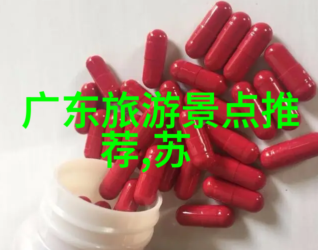 上海旅游必去景点探索城市魅力之旅