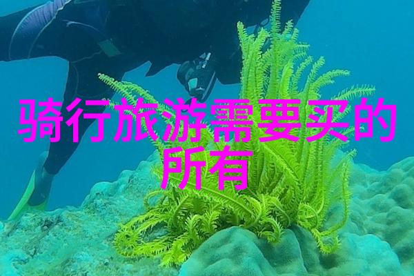 轮转与步伐骑行与跑步哪个更能塑造健美体魄