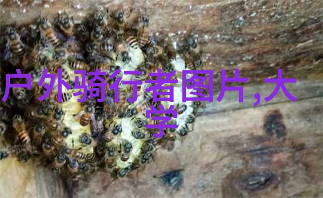 走进自然画卷国内自然风光的三维虚拟导览