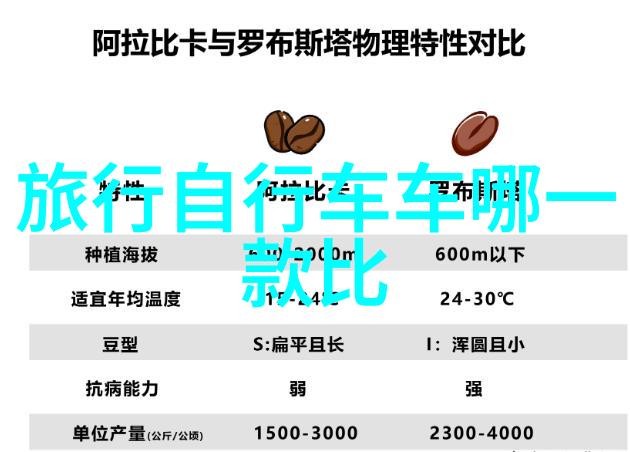 金银瓶外国篇跨文化探索与传统智慧