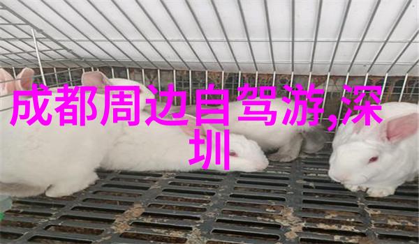 生活方式变革者探讨常规工作后仍能骑行200公里的人群现象