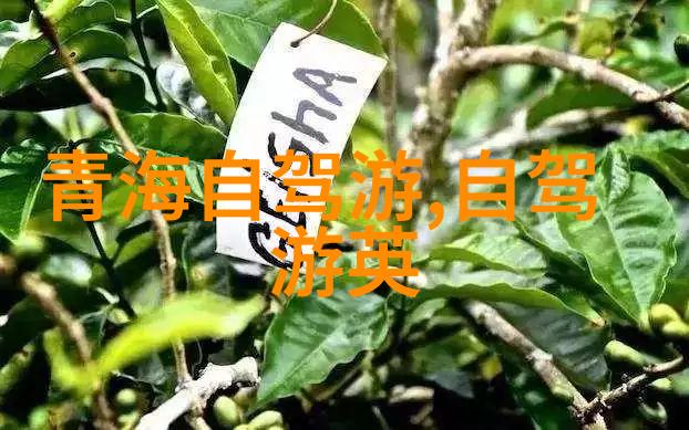 兰州旅游攻略我在兰州的7天7夜从红sand地到绿坝湖