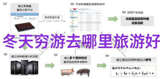 夏天去哪里旅游好玩又凉快的地方来看看小编的建议吧
