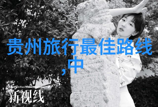 野餐聚会中的小型运动竞技场合
