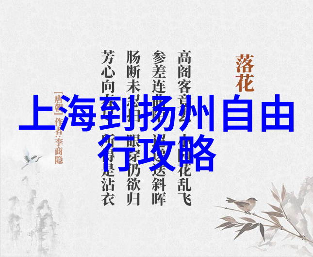 极限运动挑战安全第一精心设计高风险户外活动计划