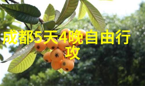 莫斯卡村少年西游记物品攻略2020