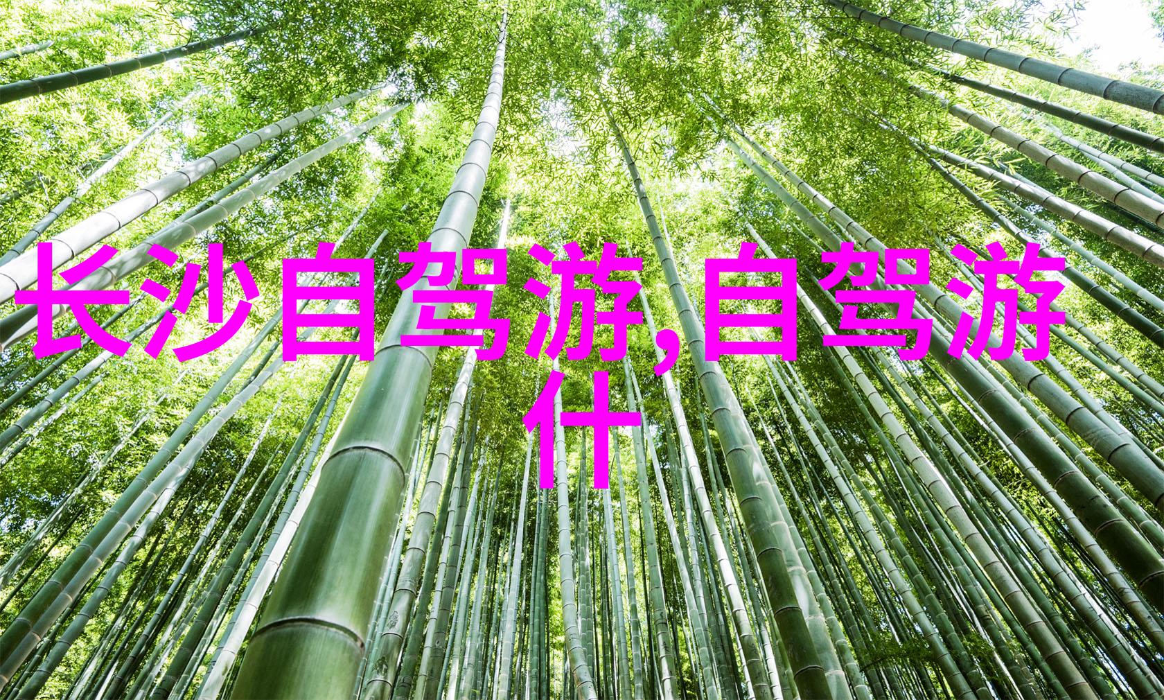 旅游局招聘-揭秘如何成为一名理想的旅游工作人员