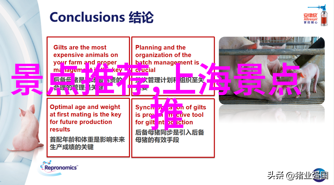 探索风情岛城自驾游厦门攻略全解析